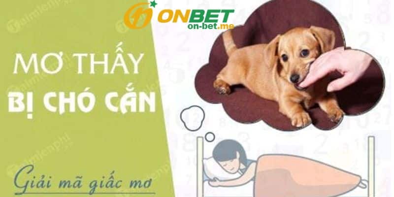 Điềm báo khi nằm mơ thấy chó cắn